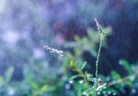 3场全是5-1！德甲劲旅疯魔，穆帅3连败要出局？