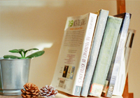 阿尔内·斯洛特将离任利物浦，前队星力荐“十年最佳人选克洛普”接任