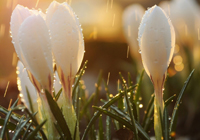 意甲知名记者：若不是米兰输给克雷莫内塞，拉比奥特可能来不了，现在米兰内洛的氛围非常好