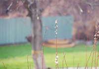 意甲知名记者:若不是米兰输给克雷莫内塞,拉比奥特可能来不了,现在米兰内洛的氛围非常好