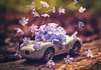 阿尔内·斯洛特将离任利物浦，前队星力荐“十年最佳人选克洛普”接任